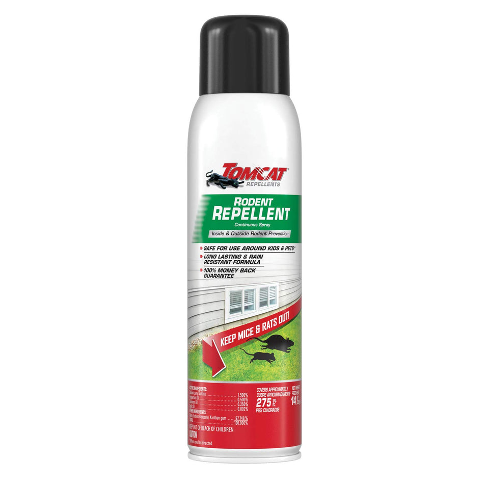 Tomcat Rodent Repellent Spray at outdoor entry points deters rodents.