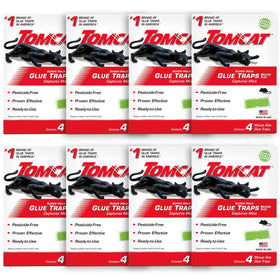 Tomcat Super Hold glue traps box eight-pack ready to deploy for pests.
