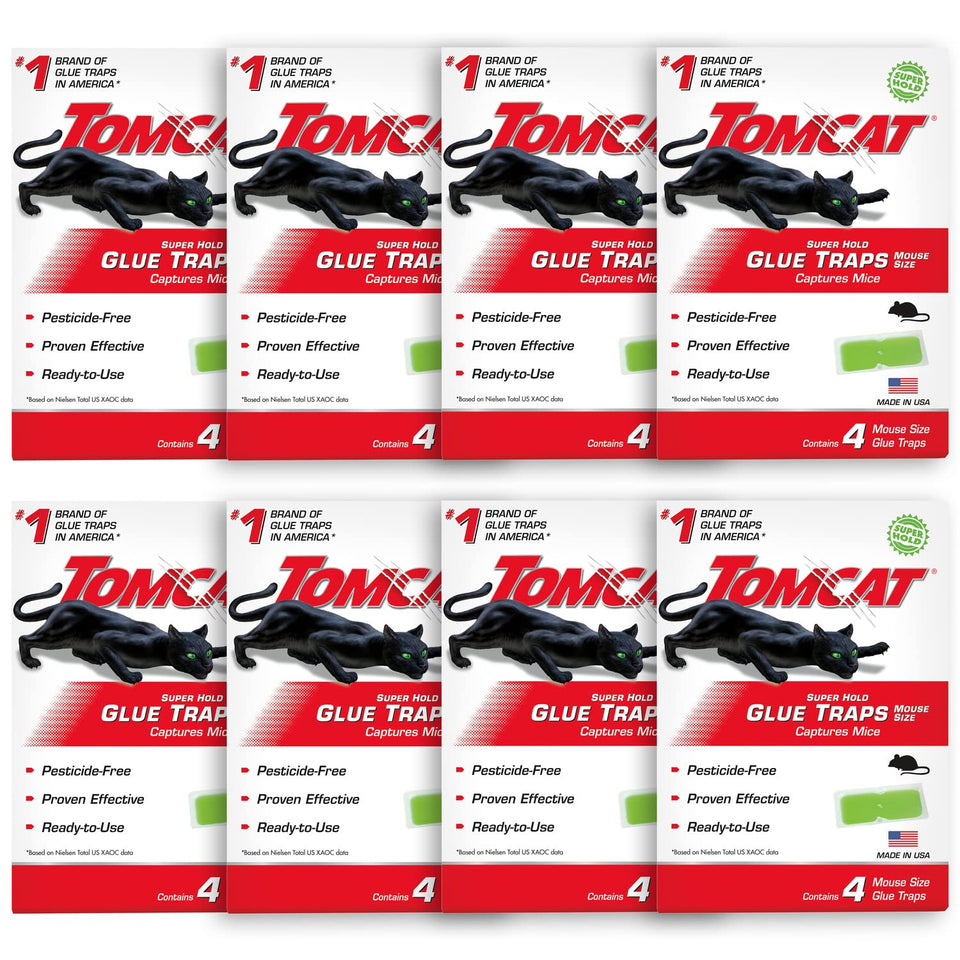 Tomcat Super Hold glue traps box eight-pack ready to deploy for pests.