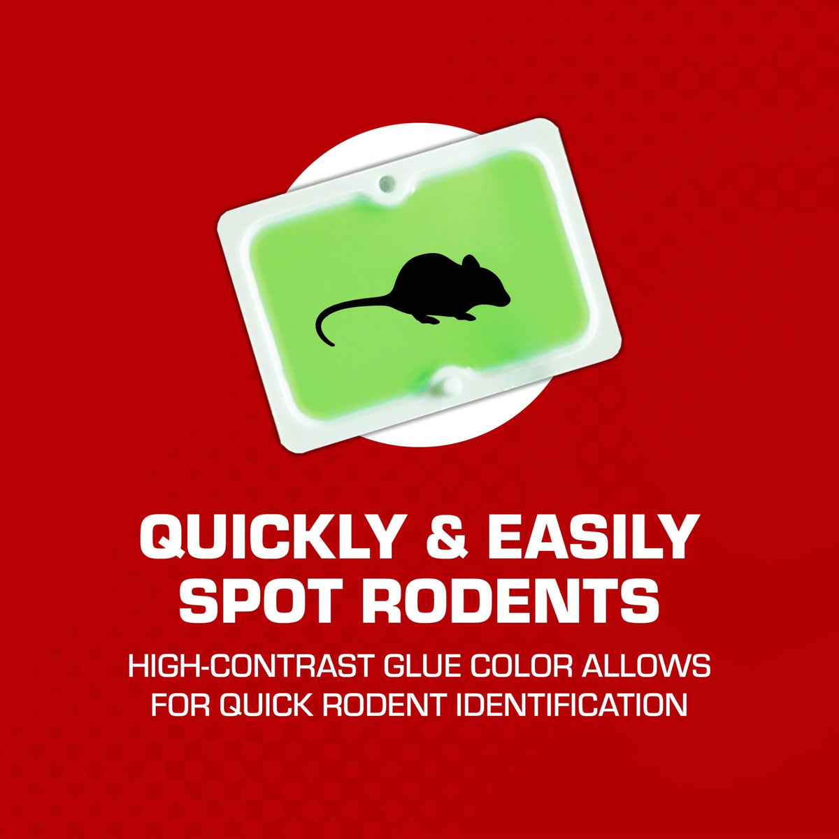 Tomcat trap with caught pest on adhesive surface