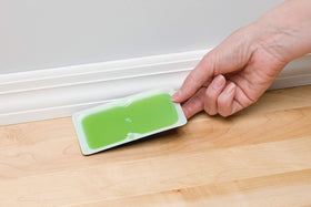Tomcat Super Hold glue traps closeup shows strong grip and sticky surface.