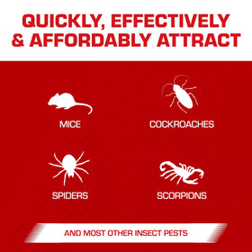 Tomcat Super Hold close-up shows high contrast glue for easy identification