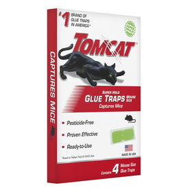 Tomcat Super Hold traps placed in pantry for discreet pest control.