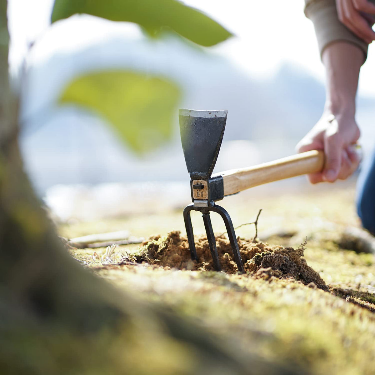 Tomerry garden hoe in garden bed demonstrating precise soil loosening and weed control.