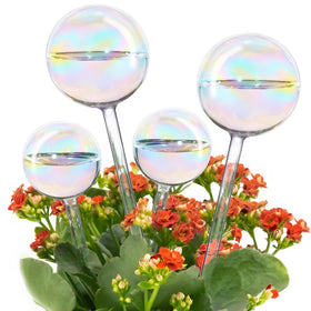 Tomorotec iridescent glass globe large front view showing color and size suitability for mid-size plants