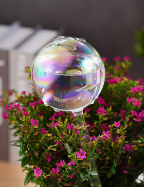 Tomorotec large globe in use, watering a larger plant outdoors