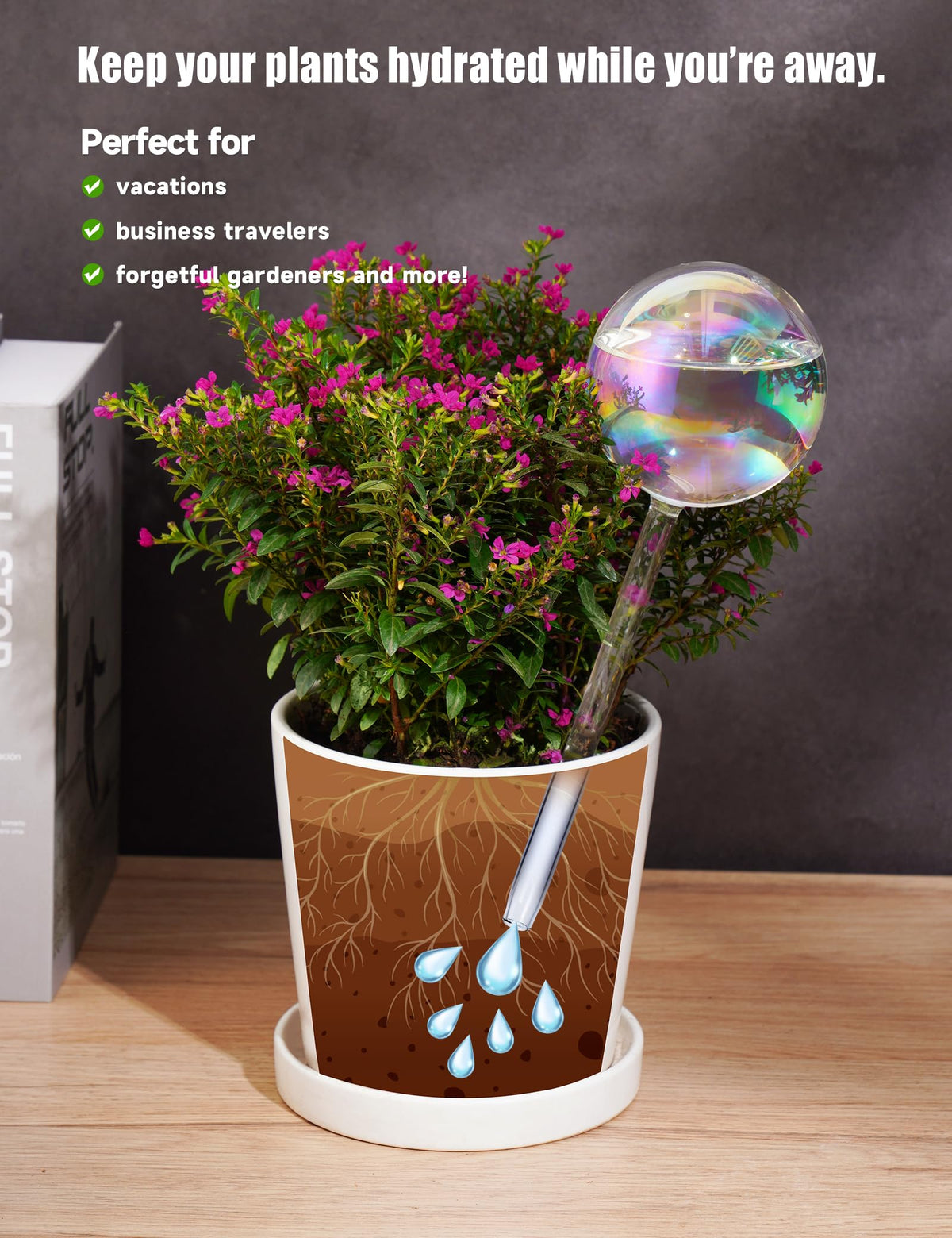Tomorotec rainbow detail on glass globe highlighting decorative appeal