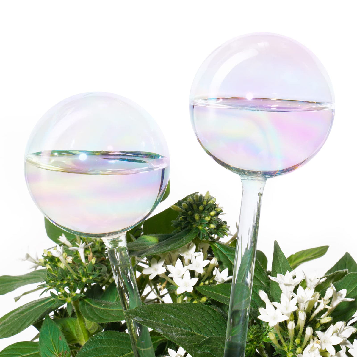 Tomorotec rainbow glass self-watering spike adds color while delivering steady plant hydration.