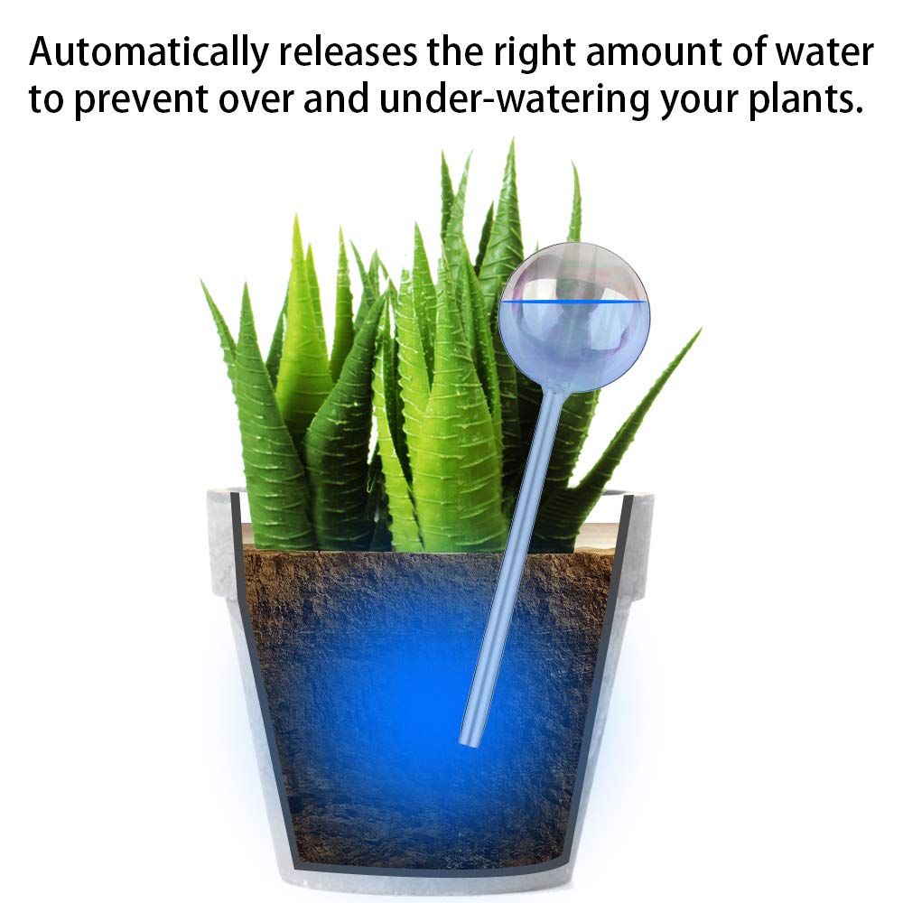 Tomorotec clear glass self-watering bulb keeps soil moist automatically.