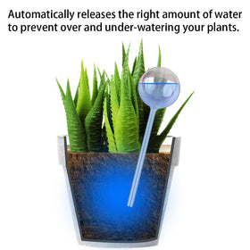 Tomorotec clear glass self-watering bulb keeps soil moist automatically.