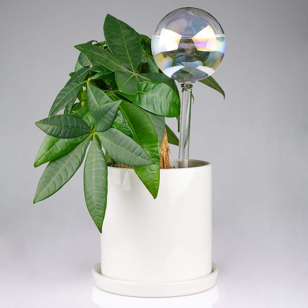 Tomorotec adjustable-flow spike lets you fine-tune watering rate.