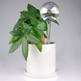 Tomorotec adjustable-flow spike lets you fine-tune watering rate.