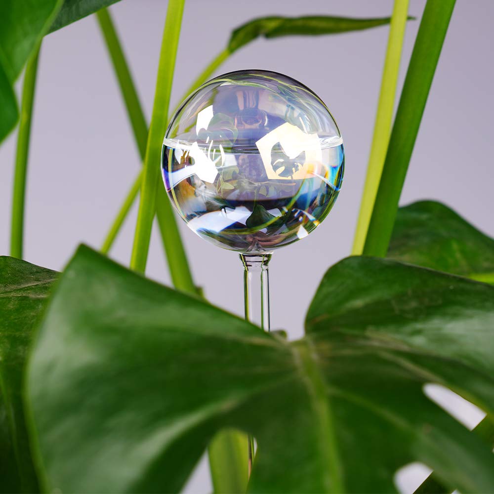 Tomorotec two-pack glass waterer bulbs enhance care and display.