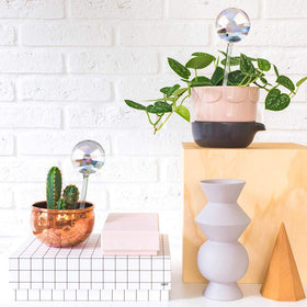 Tomorotec glass self-watering spike requires careful handling for durable use.