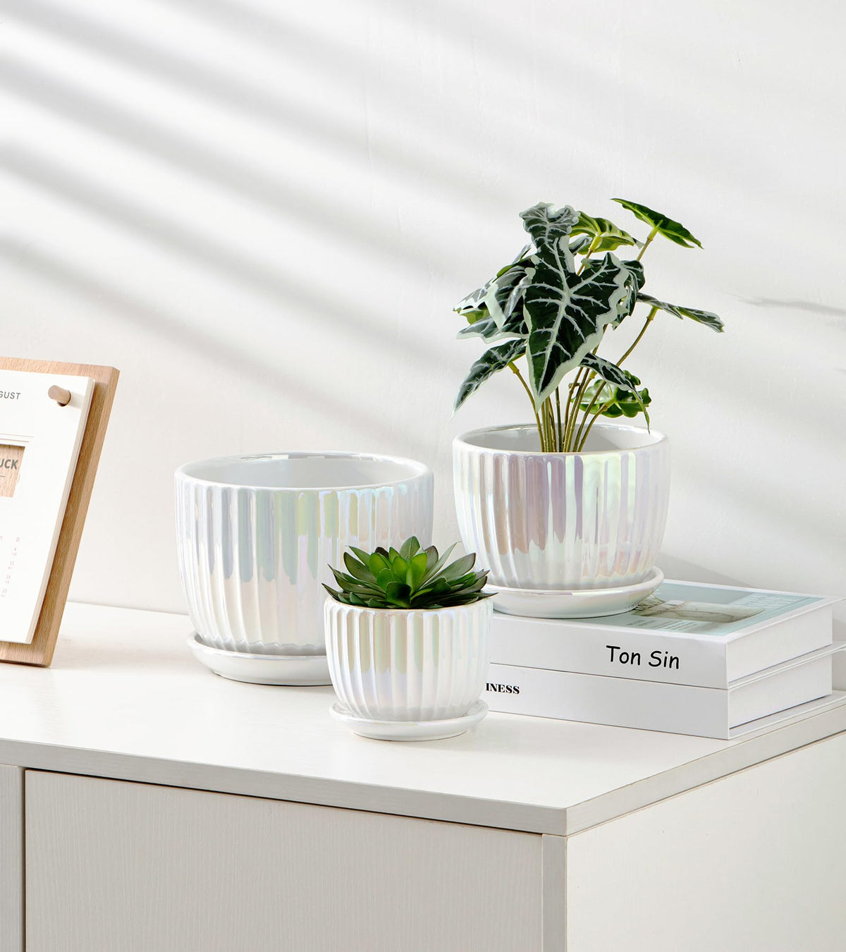 Ton Sin ceramic pot set display on shelf with plants