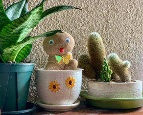 Ton Sin pots shown in home or office setups for greener spaces.