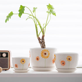 Ton Sin ceramic set ships gift-ready with stylish packaging.