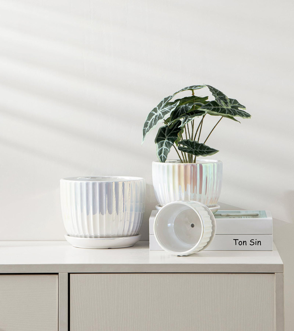 Ton Sin pearl gold ceramic pot close-up highlighting glossy glaze