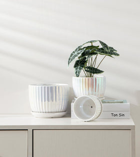 Ton Sin pearl gold ceramic pot close-up highlighting glossy glaze