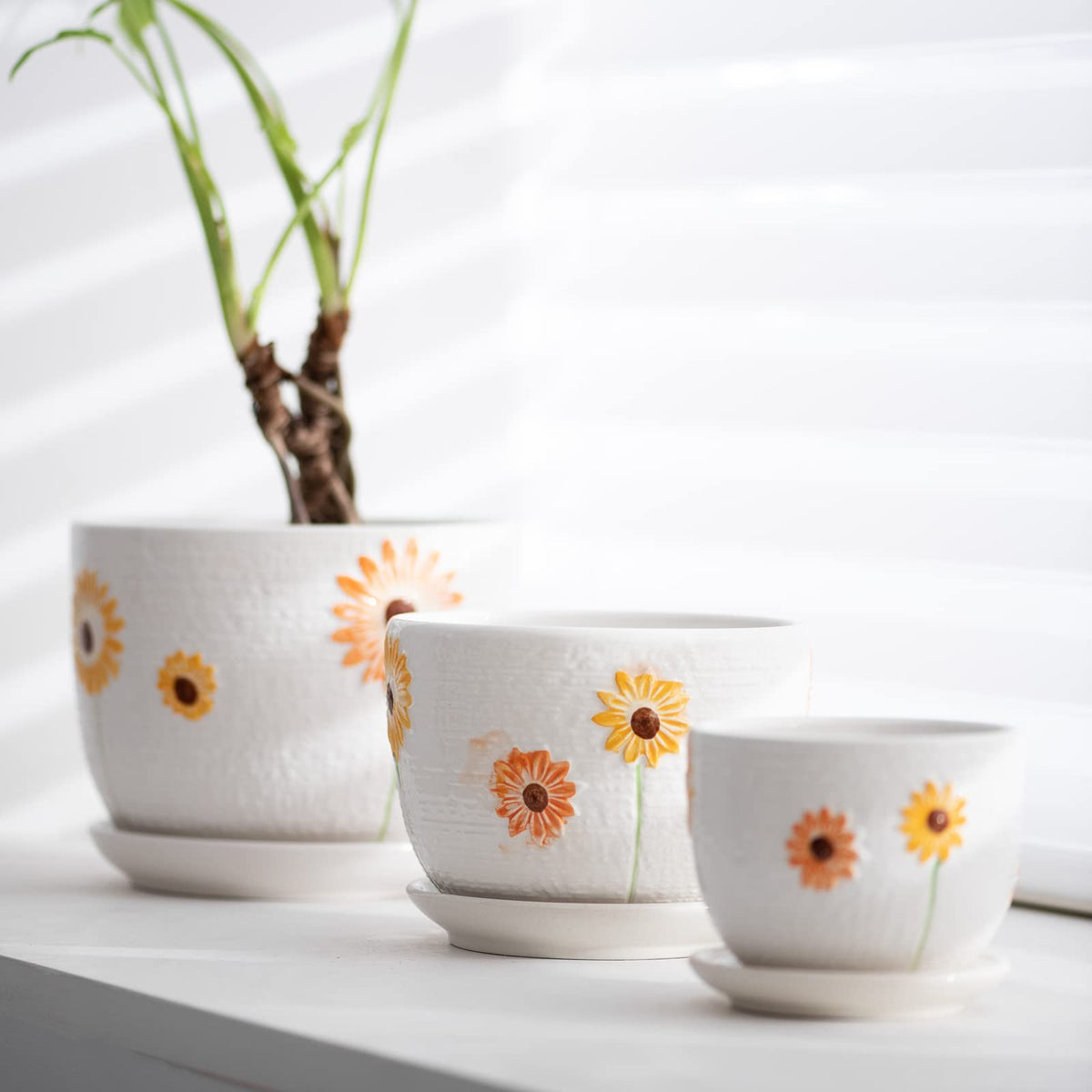 Ton Sin medium sunflower pot enhances herb and succulent displays.