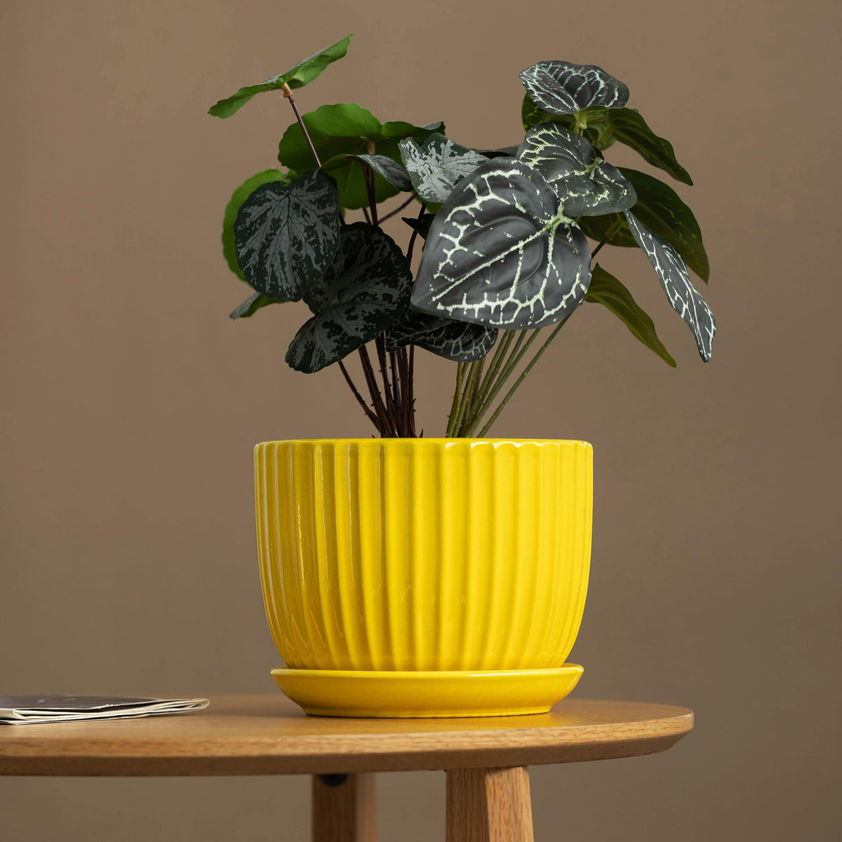 Ton Sin sunburst yellow pot 5.1 inch aids root health and easy watering.