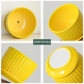 Ton Sin sunburst yellow pot with attached saucer keeps surfaces clean.