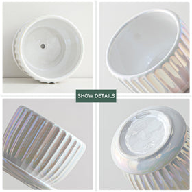 Ton Sin white plant pot 4-inch perfect for compact succulents on desks
