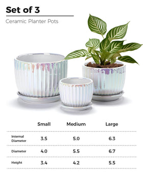 Ton Sin white plant pot 5-inch ideal for herbs on a sunny windowsill