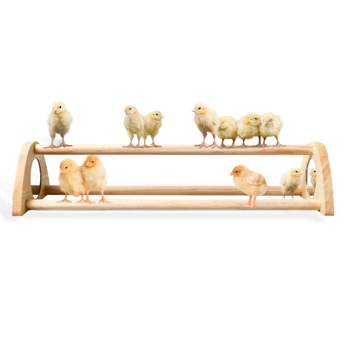 TonGass 16-inch extra-long chicken perch with spacious roosting space for many chicks