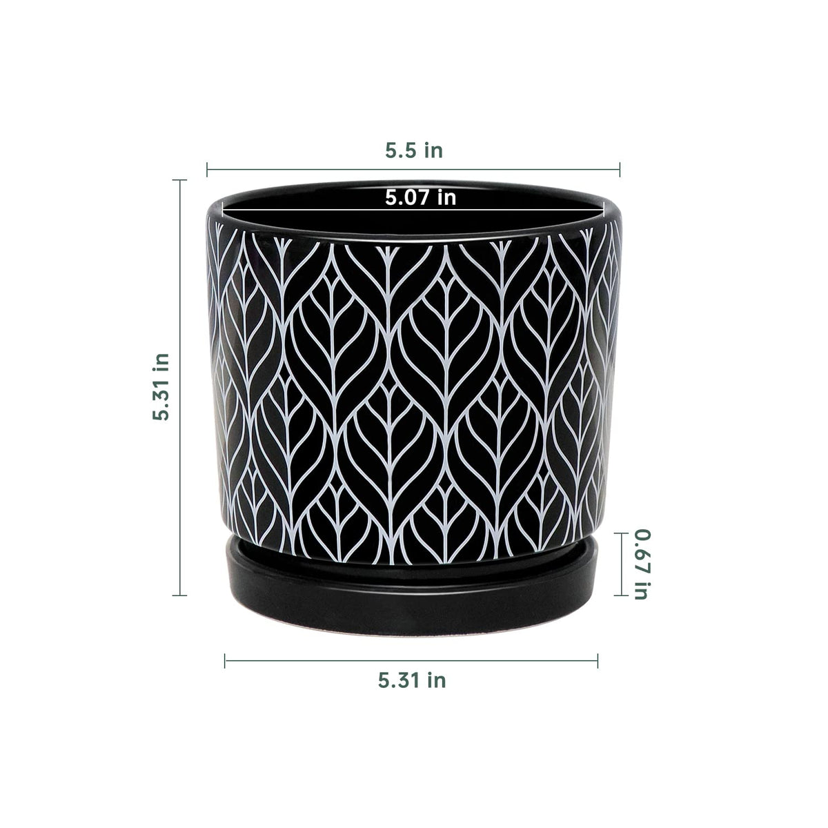 Ton Sin ceramic cylinder planter ideal for compact succulents and snake plants.