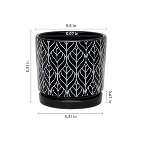 Ton Sin ceramic cylinder planter ideal for compact succulents and snake plants.