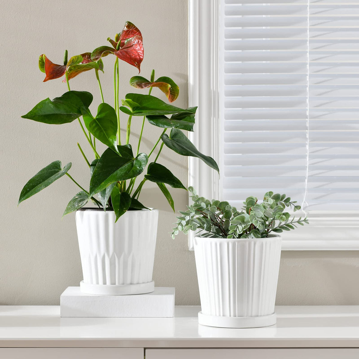 Ton Sin 6-inch planter in white glaze enhances indoor shelves