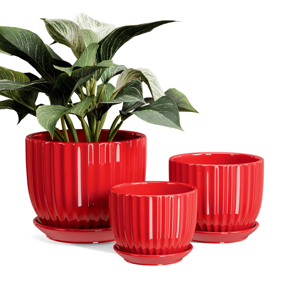 Ton Sin ceramic pots set in four to six inch sizes for stylish indoor planters with drainage.