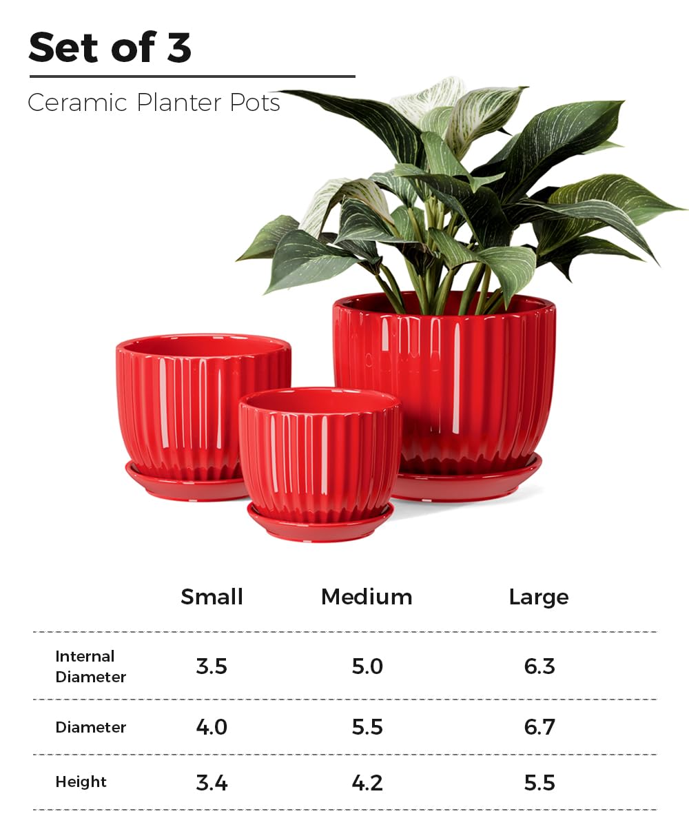Ton Sin close-up glaze on ceramic pots highlights premium finish.