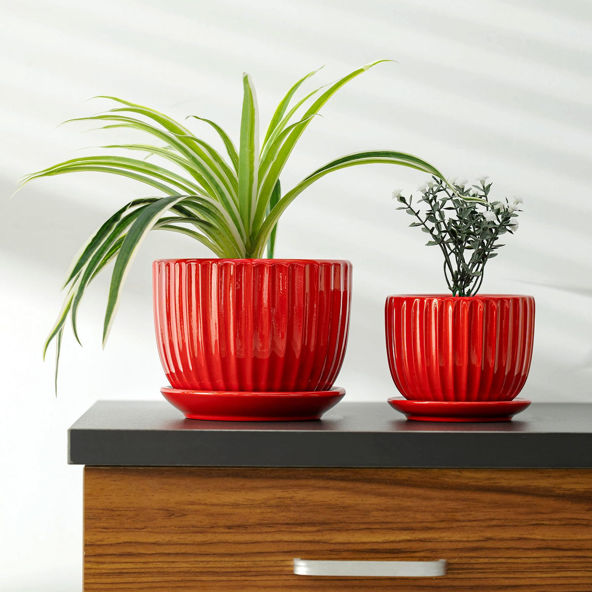 Ton Sin planters with saucers shown on a shelf keep indoor greenery organized.
