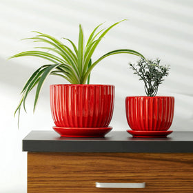 Ton Sin planters with saucers shown on a shelf keep indoor greenery organized.