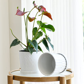 Ton Sin pot with drainage hole supports healthy watering and clean surfaces