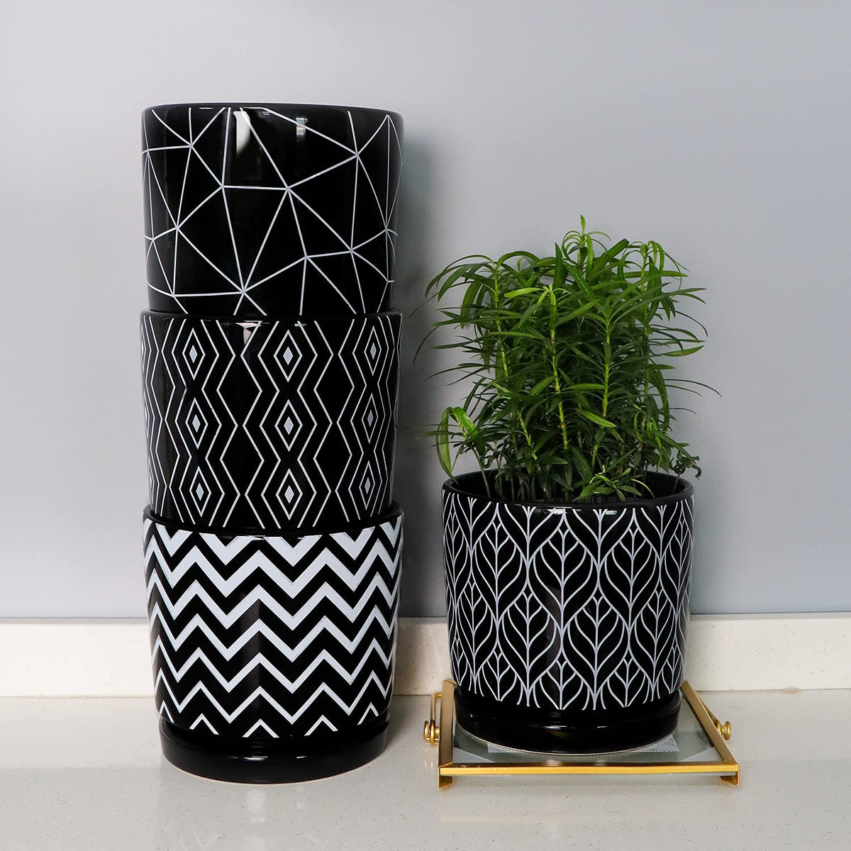 Ton Sin black pot with saucer captures excess water and protects furniture.