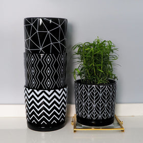 Ton Sin black pot with saucer captures excess water and protects furniture.