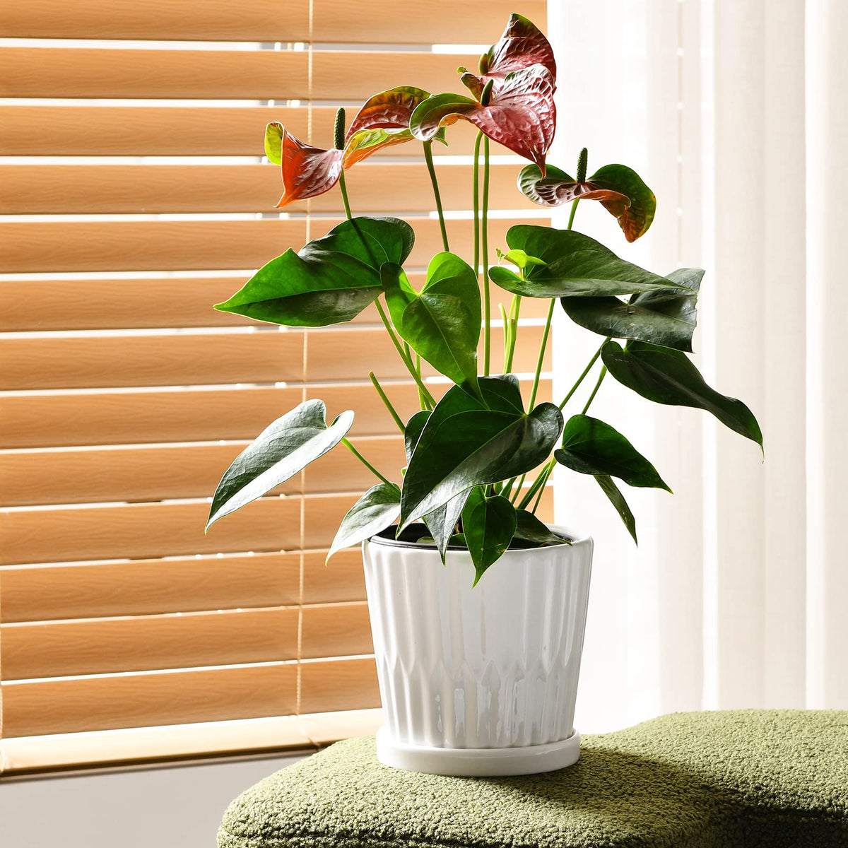 Ton Sin four-pack pot set ideal for balcony gardens and indoor displays