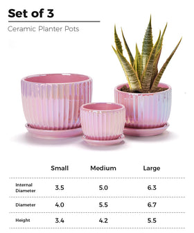 Ton Sin pink gold ceramic pot, 5-inch, perfect for small plants on a shelf.