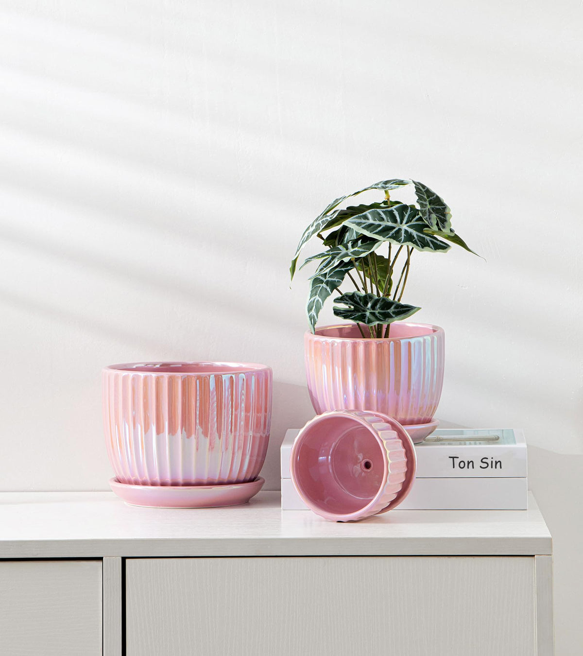 Ton Sin pink gold ceramic pot on a window sill, bright indoor accent.
