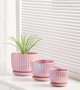 Ton Sin set of 3 ceramic pots with saucers for cohesive indoor display.