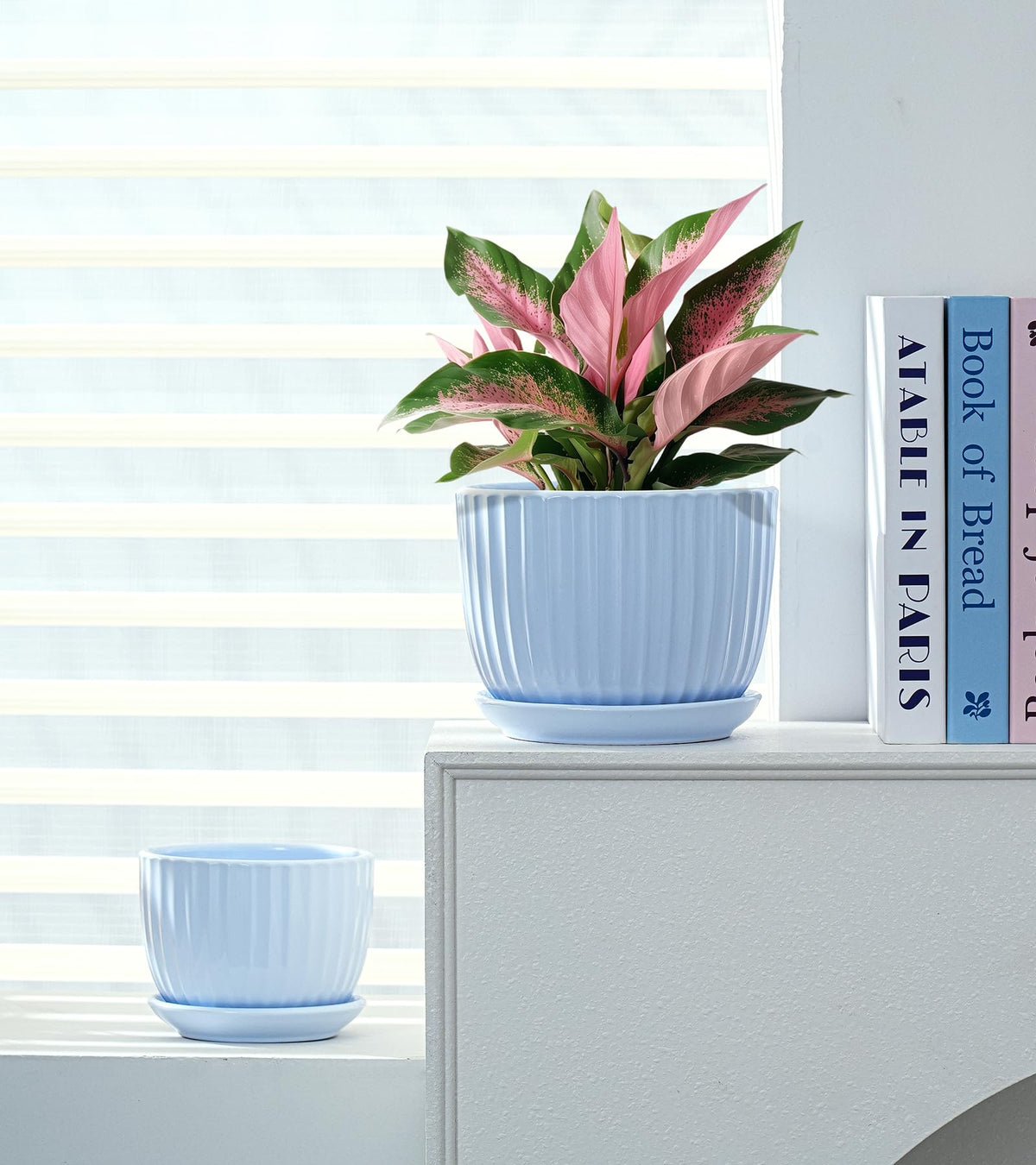 Ton Sin Sky Blue 4-inch ceramic pot perfect for windowsill displays