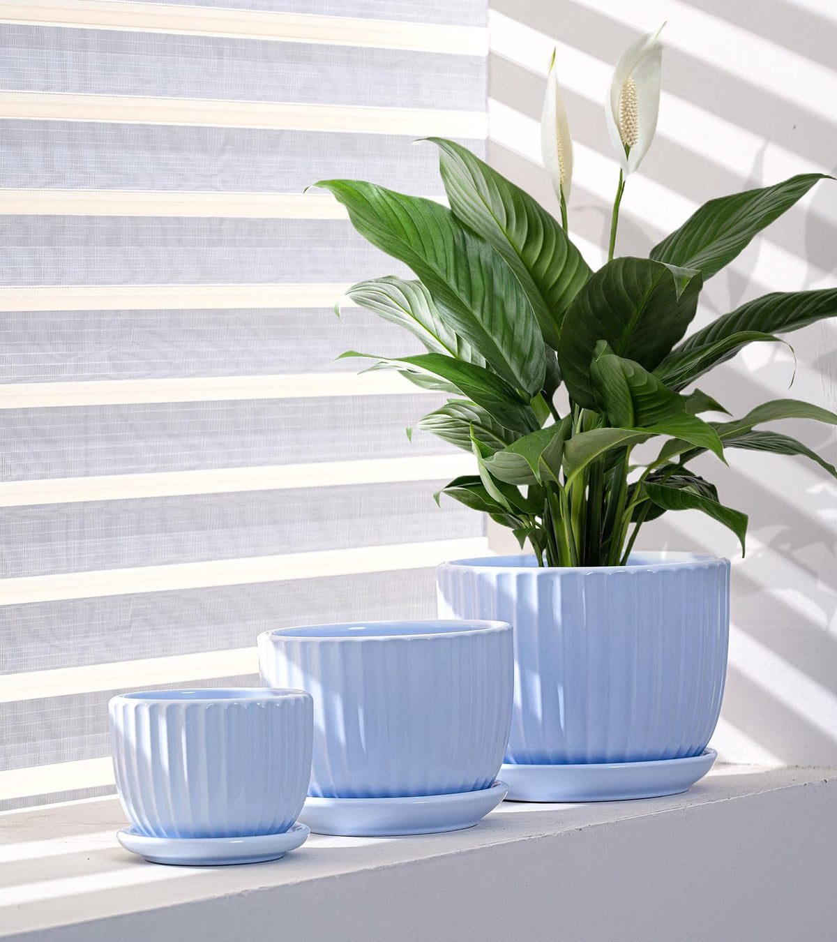 Ton Sin Sky Blue 5-inch ceramic pot ideal for succulents and small plants