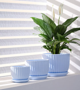 Ton Sin Sky Blue 5-inch ceramic pot ideal for succulents and small plants