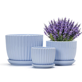 Ton Sin Sky Blue 6-inch ceramic pot with drainage for healthy roots