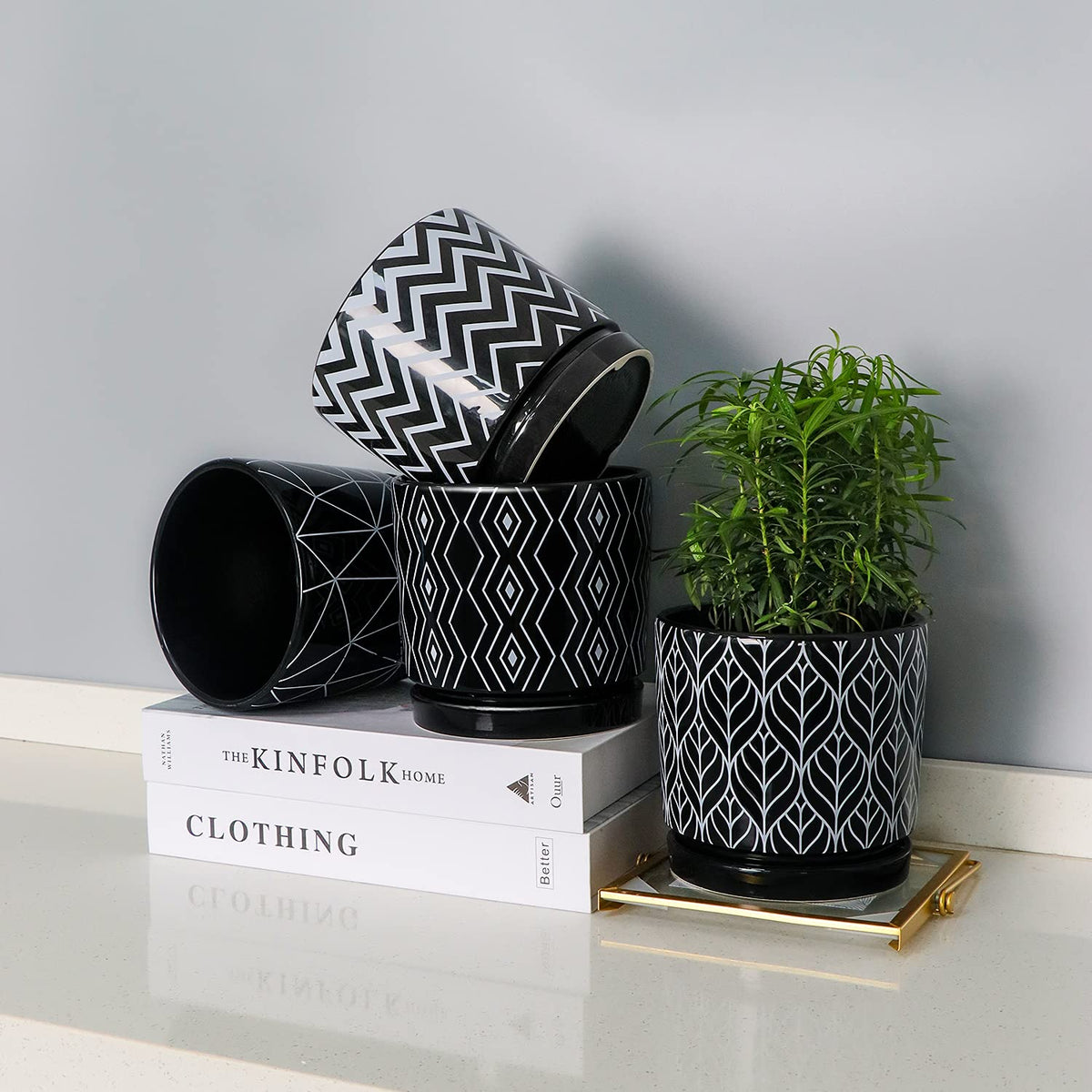 Ton Sin succulent plant pot perfect for windowsill greens and small herbs.