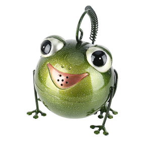 Tooarts Frog Watering Can in large size supports effortless indoor and outdoor watering.