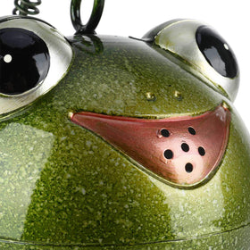 Tooarts Frog Watering Can perfect for indoor outdoor gardens and flowers.